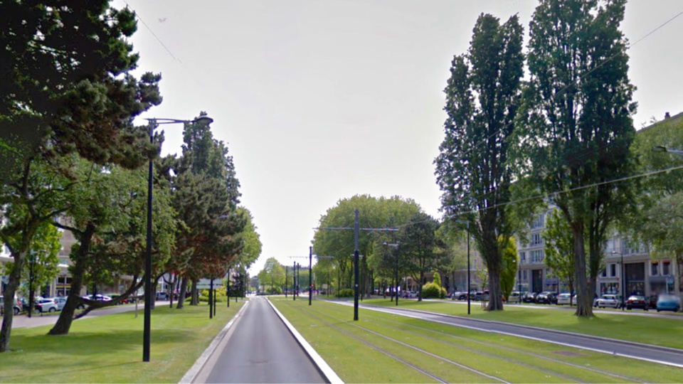 Au Havre, un peuplier de 30 mètres s'abat sur les voies du tramway : trafic coupé durant 5 h