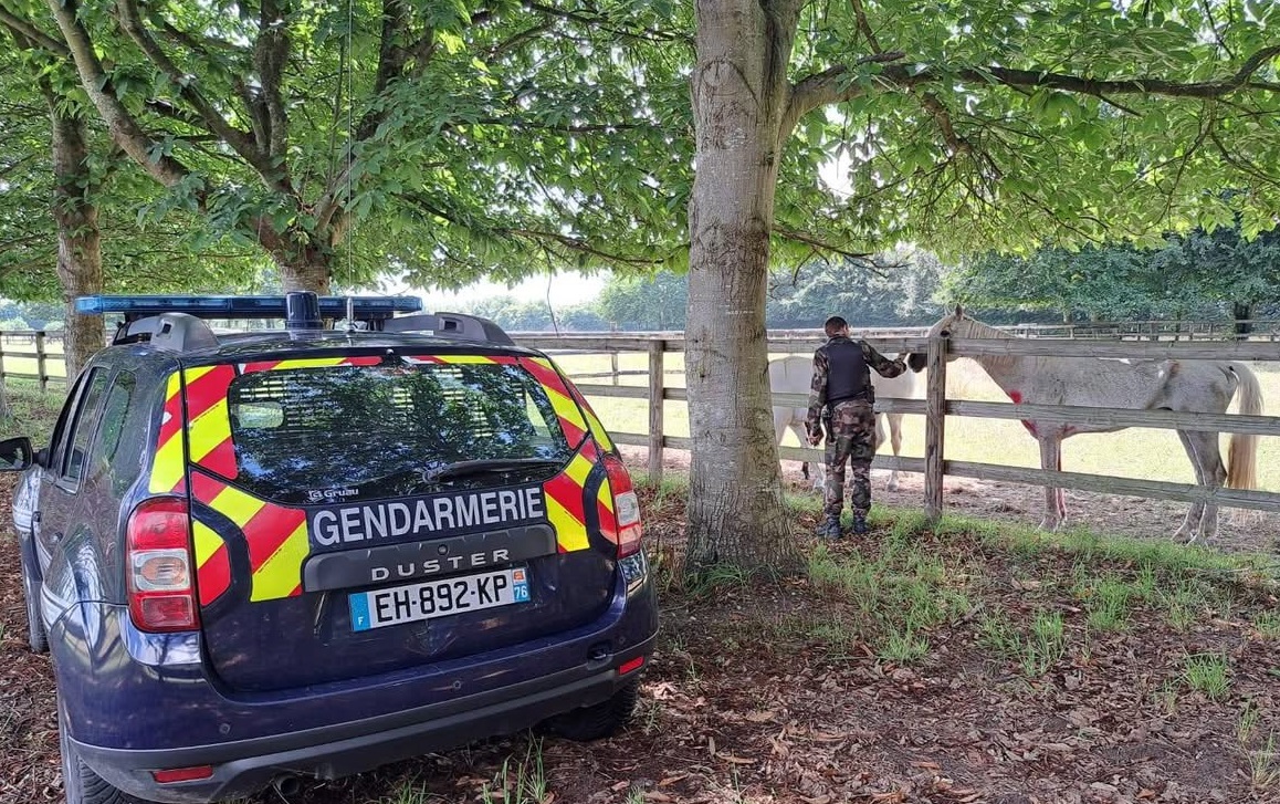 La gendarmerie a exercé pendant des semianes une surveillance accrue avant de parvenir à identifier l'auteur des fazits, un homme d'une vingtaine d'années dont des traces de sang ont été retrouvées sur les lieux - Photo Gendarmerie76