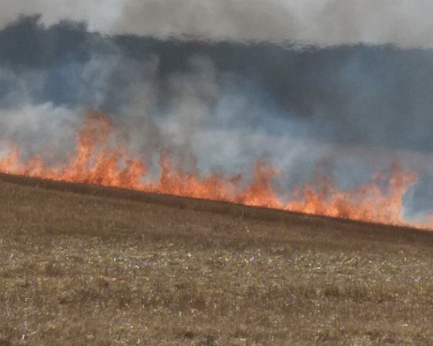 Le front de flammes s’étendait sur environ 100 mètres de long, avec une surface déjà brûlée estimée à 15.000 m², ont constaté les sapeurs-pompiers - Illustration © infoNormandie