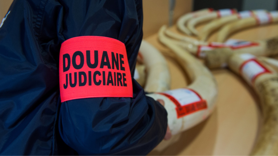 Photos@Douanes françaises