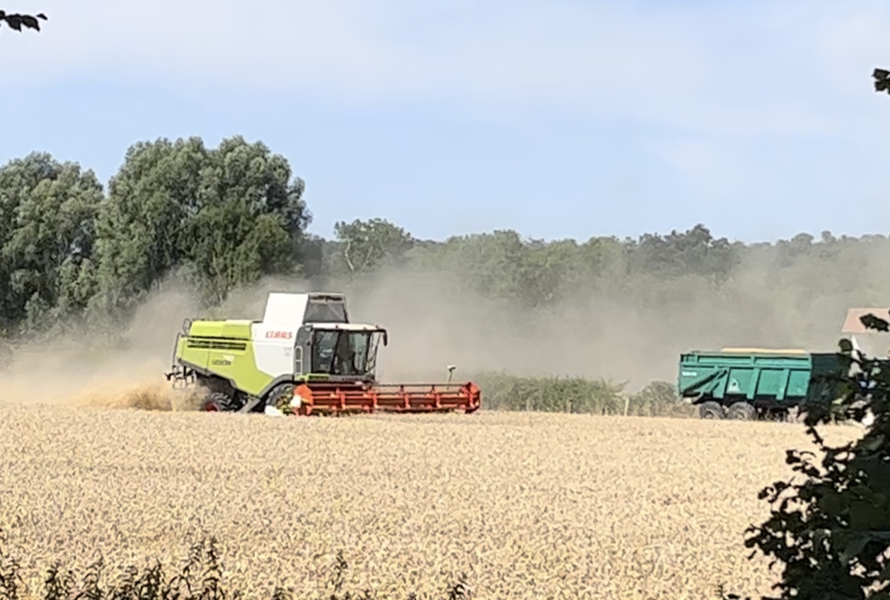 Afin de limiter les risques d’incendie, les moissons sont interdites entre 13 heures et 18 heures à compter de mardi - illustration infonormandie