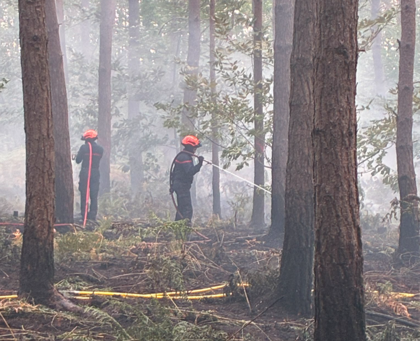 Le dernier bilan fait état de deux hectares de sous-bois partis en fumée - Photo ©Sdis27
