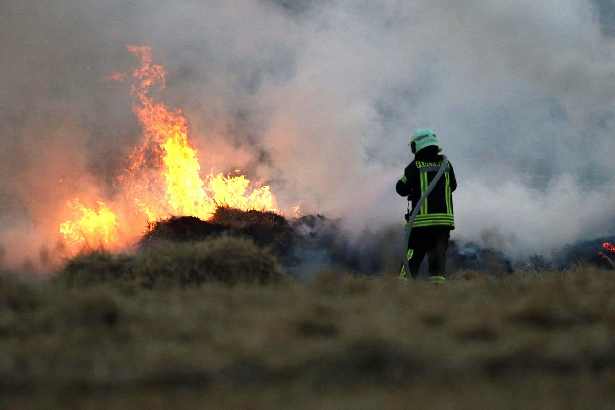 L'incendiaire présumé a reconnu être à l'origine de plusieurs départs de feu ces dernières semaines dans le secteur de Darnétal - Illustration