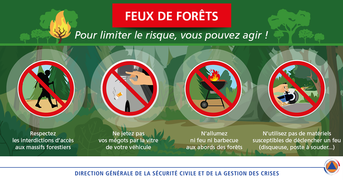 Feux de végétation en Seine-Maritime : ces imprudences qui peuvent tout embraser