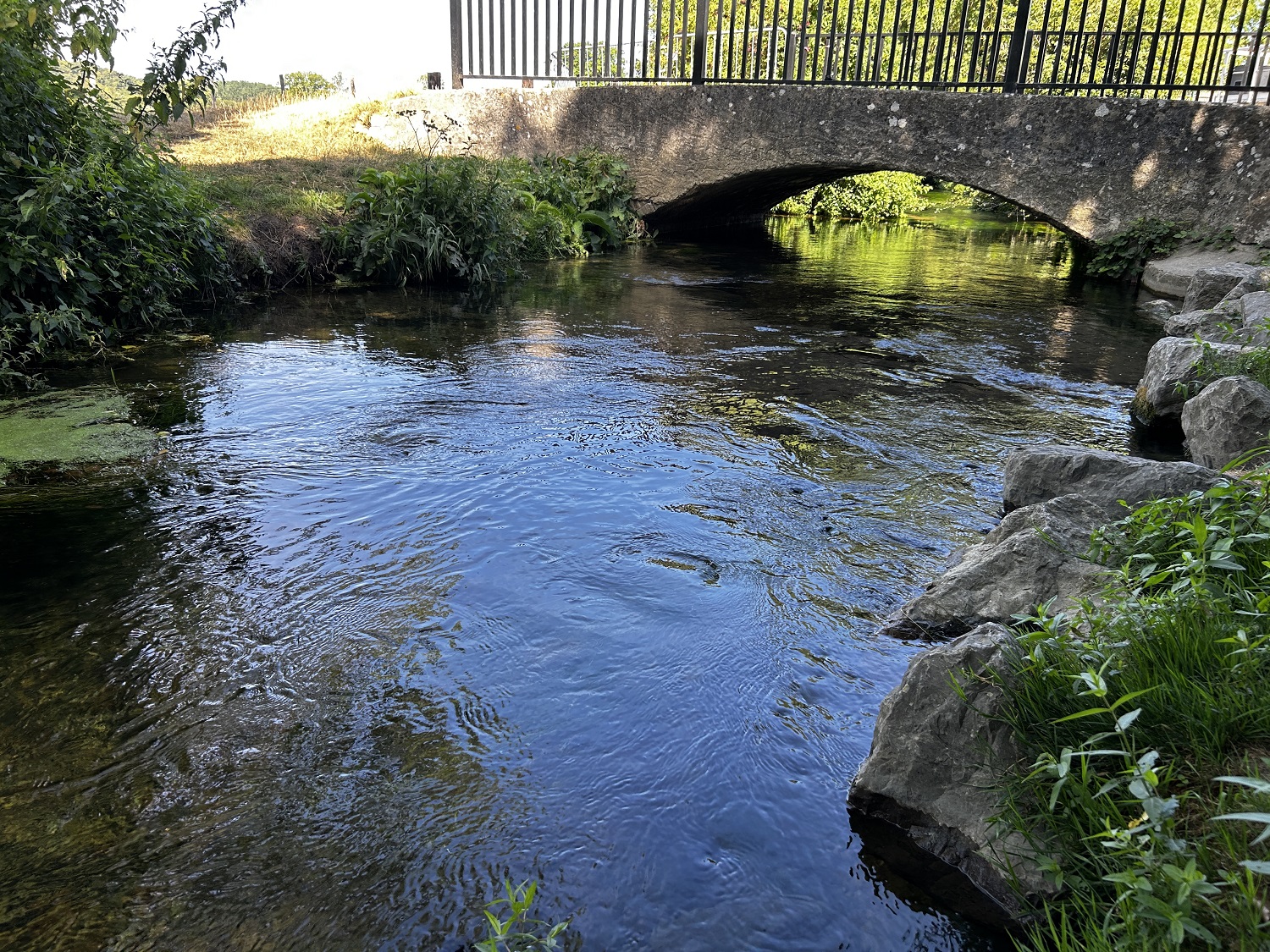 Un affluent de l'Eure à Pacy-sur-Eure - Photo © infonormandie