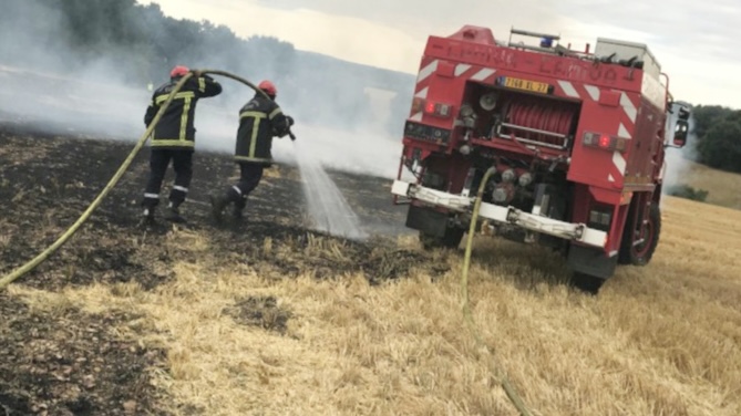 ​Seine-Maritime. Feu dans le bois d’Orcher : l’incendie fixé après avoir parcouru 3,4 hectares