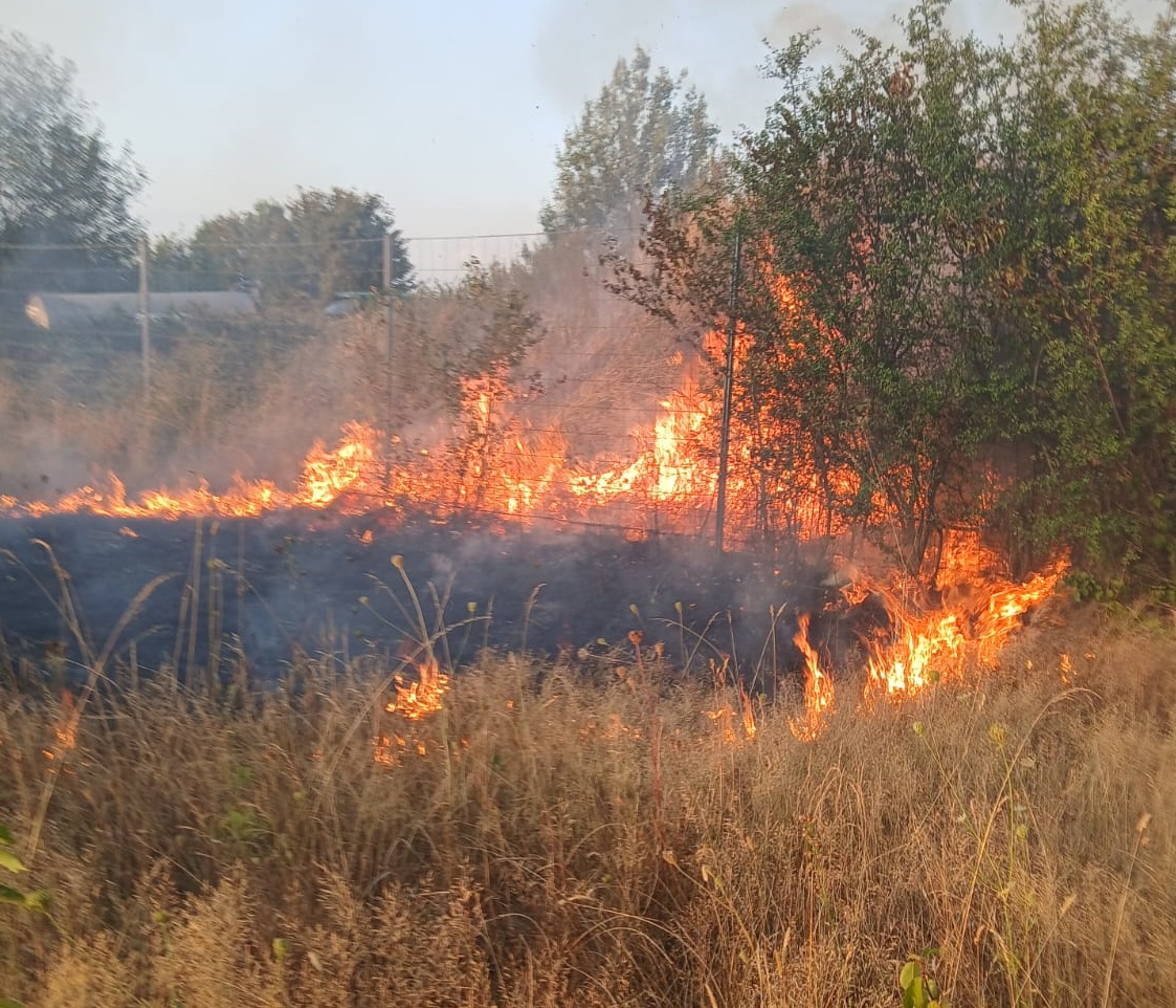 A Bosrobert, le feu a ravagé plus de 2 hectares de brouillsailles et de sous-bois en bordure de l'autoroute A28, dans le sen,s Alençon - Rouen - Photos © Sdis27