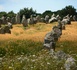 Carnac et Locmariaquer inscrits au patrimoine mondial de l’UNESCO