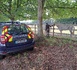 Chevaux mutilés en Seine-Maritime : une enquête élargie après de nouveaux actes de cruauté