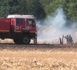 Saint-Aubin-d’Escroville : un feu de chaume ravage 4 hectares près du Neubourg (Eure)