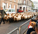 De Saint-Michel à la ferme de Navarre : la transhumance revient à Évreux du 25 au 28 novembre