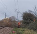 Un arbre tombé sur les voies et heurté par un train perturbe la ligne Rouen–Dieppe