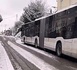 Transports scolaires et cars Nomad : la suspension reconduite pour mardi dans toute la Normandie