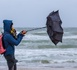 Tempête Goretti : des rafales de vent de plus de 110 km/h en Seine-Maritime et dans l'Eure
