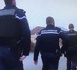 Vallée de Chevreuse : un réseau de “livraisons” de stupéfiants démantelé, plus de 38 000 € saisis