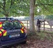 Chevaux tués et mutilés en Seine-Maritime : l’affaire rejugée en appel, à Rouen