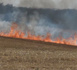 Incendie : 15 000 m² de végétation ravagés par les flammes ce soir à Petit-Couronne