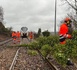 Ligne Rouen-Dieppe : la circulation des trains reste perturbée, reprise estimée à 14 heures