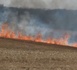 https://www.infonormandie.com/Seine-Maritime-Important-feu-de-vegetation-dans-le-bois-d-Orcher-57-sapeurs-pompiers-mobilises_a43374.html