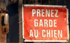 Yvelines : un père et son fils mordus aux bras par le chien qu'ils avaient en garde