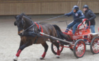 7e édition du concours indoor les 18 et 19 mars : les attelages font sensation à Deauville