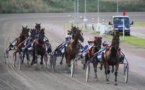 Huit courses de trot au programme de l'hippodrome de Bacqueville-en-Caux