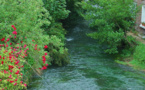 La rivière l’Eaulne en Seine-Maritime victime d’une importante pollution : les riverains mis en garde 