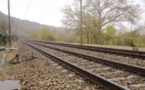 Gare du Vésinet : il est amputé d'un pied après s'être jeté devant un train