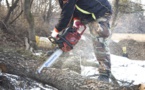 Seine-Maritime : tué par la chute d'un arbre lors d'une opération d'abattage à Etalonde