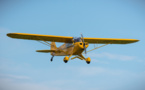 Yvelines : un avion de tourisme se pose en urgence dans un champ après la défaillance du moteur