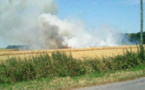 Seine-Maritime : 7 ha d’orge et de paille partis en fumée à Berneval-le-Grand 