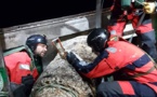 Calvados : une mine allemande d'une tonne dans les filets d'un chalutier au large de Grandcamp-Maisy