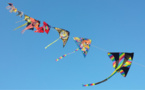 Festival du cerf-volant à Dieppe : le spectacle est dans le ciel pendant une semaine