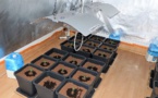 Le Havre : un couple cultivait des plants de cannabis dans son pavillon, il est arrêté par la BAC 