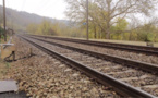 Yvelines : un cheval en divagation percuté par un train à Fontenay-le-Fleury