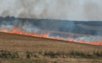 Feu de chaume à Vatteville (Eure) : les sapeurs-pompiers sont sur place 