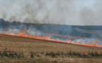 Nouveaux incendies de culture dans l'Eure : 17 hectares brûlés cet après-midi