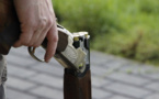 A Achères (Yvelines), un enfant blessé par un tir de fusil de chasse en cueillant des mûres 