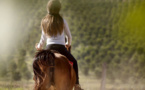 Dans l’Eure, une cavalière blessée grièvement dans un accident de la route, son cheval est décédé 