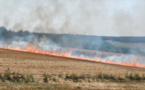Seine-Maritime : 5 hectares de chaume ravagés par les flammes dans le Pays de Bray