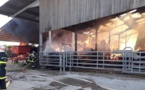 Seine-Maritime : un bâtiment agricole embrasé à l’arrivée des sapeurs-pompiers à Ocqueville 