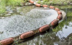 Seine-Maritime : la rivière la Lézarde polluée par une nappe d'hydrocarbure à Montivilliers 