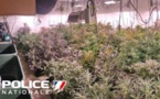 Seine-Maritime : le pavillon du couple interpellé près de Rouen abritait une culture de cannabis