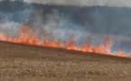 Seine-Maritime : 2 ha de blé sur pied et de chaume brûlés dans le Pays de Caux  
