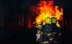 Seine-Maritime. Feu de tracteur dans un bâtiment agricole : 53 vaches évacuées à temps