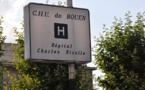 Une adolescente de 14 ans mordue sérieusement par un chien à Sotteville-lès-Rouen