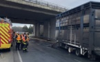 15 bovins tués dans l'incendie d'une bétaillère à La Londe, près de Rouen 
