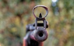 Yvelines. Il tire à la carabine sur un homme qui promène son chien à Carrières-sous-Poissy 