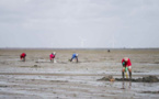 Baignades et pêche à pied interdites sur des plages du Calvados et de Seine-Maritime