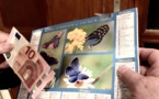 Yvelines. À Versailles, un faux vendeur de calendriers démasqué par de vrais éboueurs 